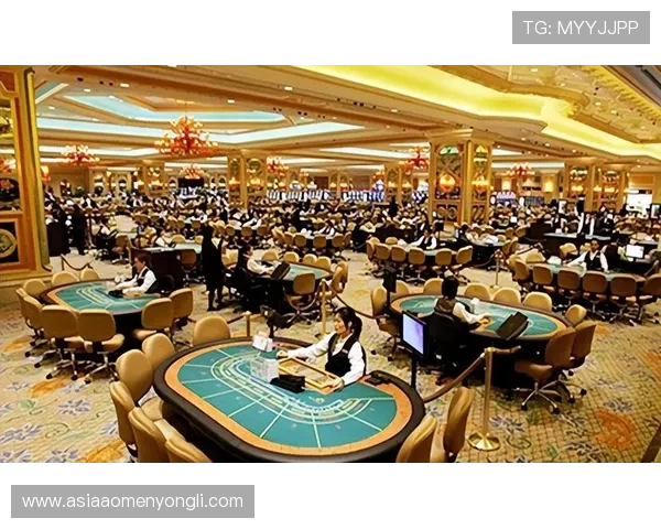 澳门前十赌场排名最新盘点，带你了解最受欢迎的豪华赌场体验