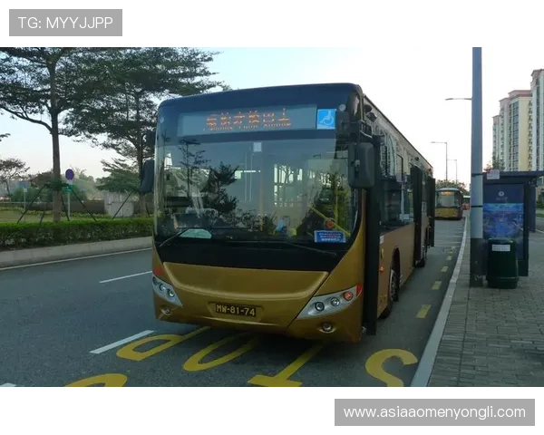 澳门贵宾厅线路检测对保障客户体验的重要作用分析